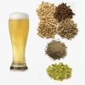 Ингредиенты для пива